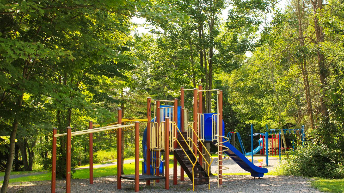 Colourful play structures including slides and swings in a wooded area