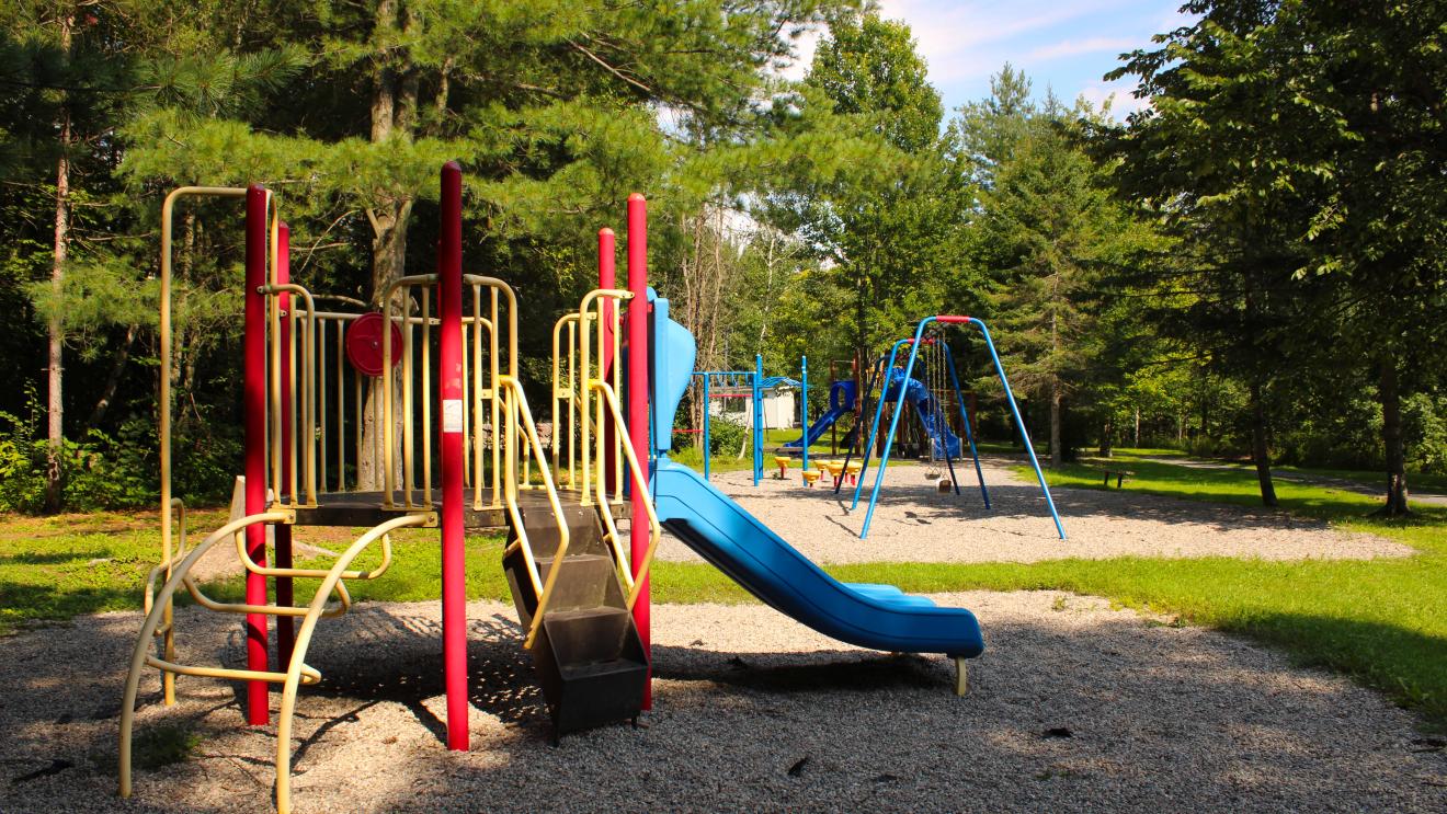 Colourful play structures including slides and swings in a wooded area