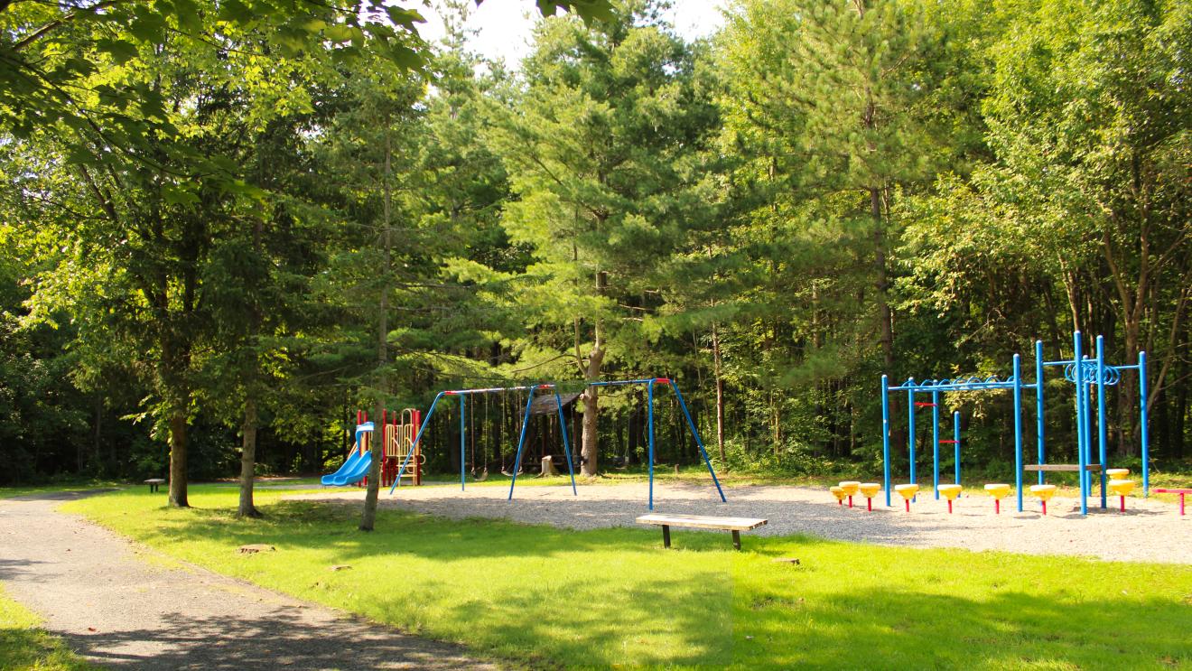 Colourful play structures including slides and swings in a wooded area