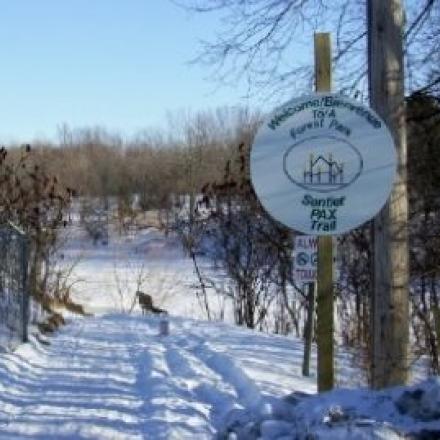 Snowy path with trees and a wooden sign on the right.