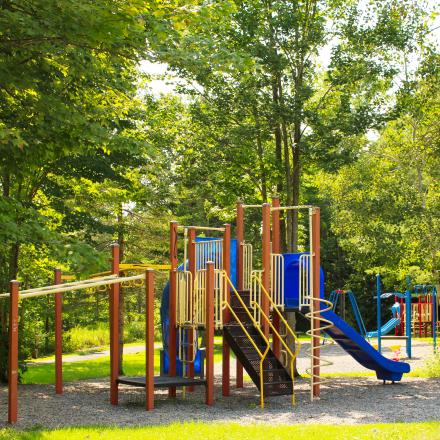 Colourful play structures including slides and swings in a wooded area