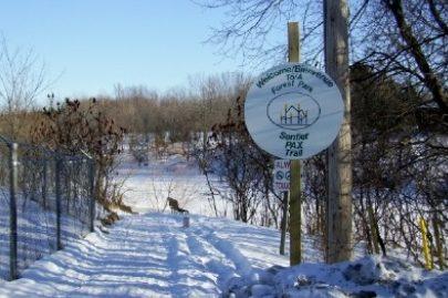 Snowy path with trees and a wooden sign on the right.