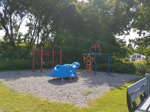Playground with colorful climbing structure and a blue dinosaur slide. Trees in background.