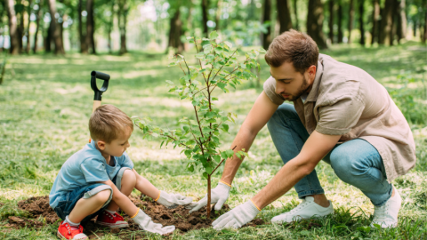 A man and a kid planting a tree